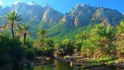 سقطرى إطلانتس اليمن.. الأرخبيل المفقود! (تحقيق)
